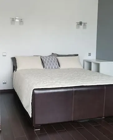 Istermina Dzivoklis Apartment Riga